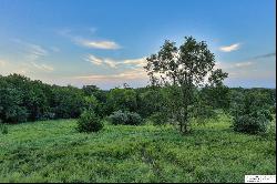 20.02 Acres Bluebird Lane, Omaha NE 68112