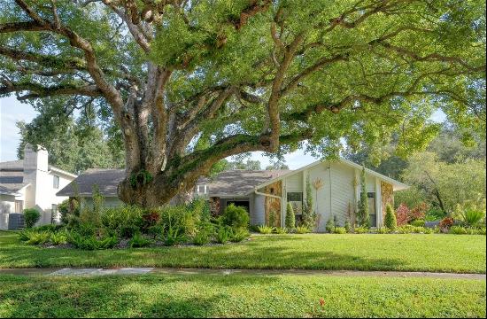 2007 Magdalene Manor Drive, Tampa FL 33613