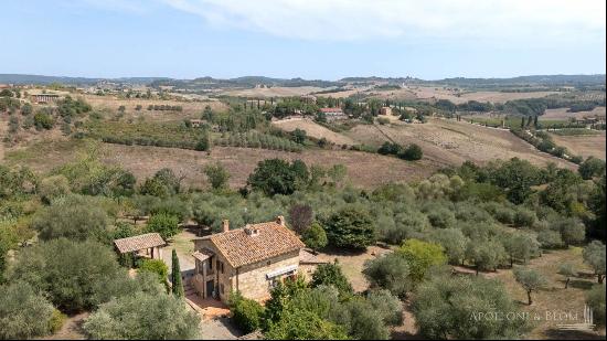 Superbly restored country house with olive grove Pienza - Tuscany