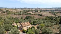 Superbly restored country house with olive grove Pienza - Tuscany