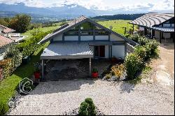 Pringy, contemporary house with lake view