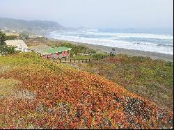 Front line plot in Matanzas