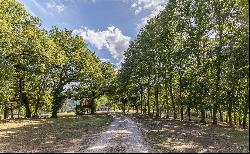 Farm/Ranch/Plantation for sale in Gubbio (Italy)