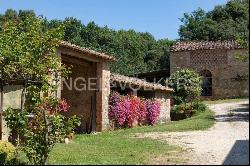 Farmhouse with a View of Montarrenti Castle