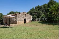 Farmhouse with a View of Montarrenti Castle