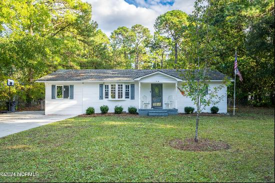 205 Horn Road, Wilmington NC 28412