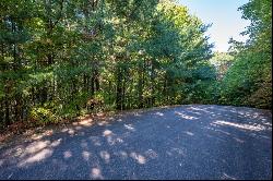 Lot 18 Dover Highlands Trail, Ellijay GA 30540