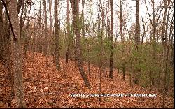 Lot 18 Dover Highlands Trail, Ellijay GA 30540