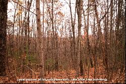 Lot 18 Dover Highlands Trail, Ellijay GA 30540