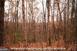 18 Dover Highlands Trail #18, Ellijay GA 30540