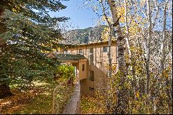 262 Eastwood Drive, Aspen, CO 81611