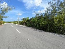 QUEEN'S HIGHWAY 2 Acres, Moss Town 