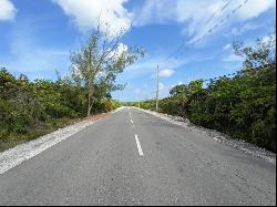 QUEEN'S HIGHWAY 2 Acres, Moss Town 