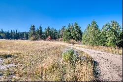 416,406 Chief Joseph Trail, Darby MT 59829