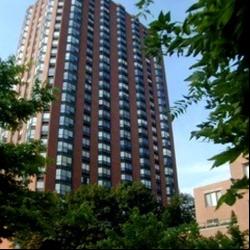 899 S Plymouth Court #403, Chicago IL 60605