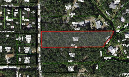 6715 S Bassett Drive, Homosassa FL 34448