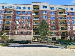 11 S Wille Street S #203, Mount Prospect IL 60056