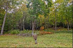 BANNER ELK - THE LODGES AT EAGLES NEST