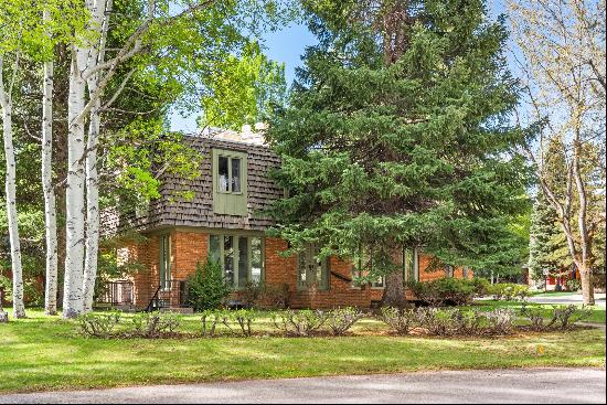 531 Gillespie Avenue, Aspen, CO 81611