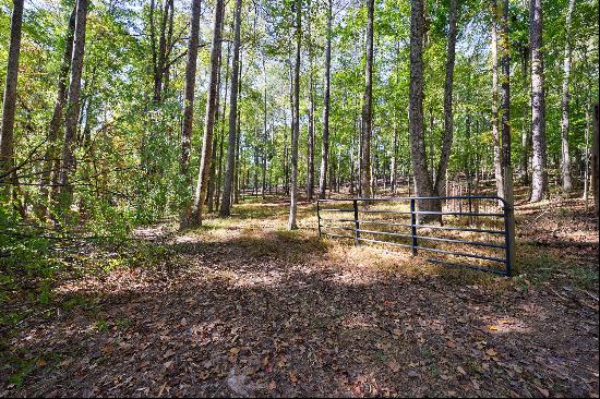 Privacy Galore On 7 Acres in the Sweet Spot of Cherokee | Alpharetta Address