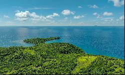 Stunning 39-Acre Oceanfront Paradise