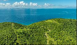 Stunning 39-Acre Oceanfront Paradise