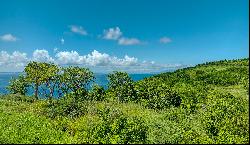 Stunning 39-Acre Oceanfront Paradise