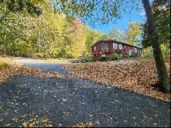 Secluded Woodland Retreat With Endless Potential