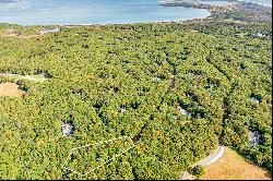 Exclusive Amagansett Oasis: Prime 2.5-Acre Parcel