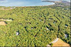 Exclusive Amagansett Oasis: Prime 2.5-Acre Parcel