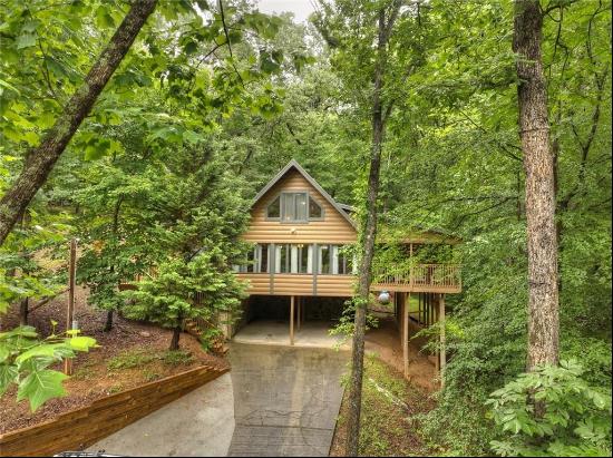 Ellijay Residential