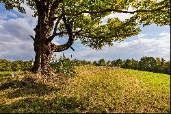 Land in Topsham