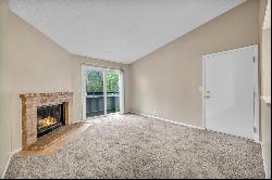 1 Bedroom Condo in Woodchase Move In Ready