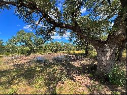 483+/- Acres Kerr County, Three Rivers Ranch, Mountain Home, TX 78058