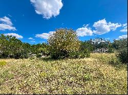 483+/- Acres Kerr County, Three Rivers Ranch, Mountain Home, TX 78058