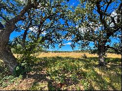 483+/- Acres Kerr County, Three Rivers Ranch, Mountain Home, TX 78058