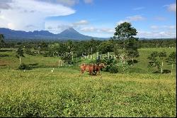 Hacienda la Fortuna Verde