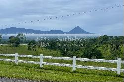 Hacienda la Fortuna Verde