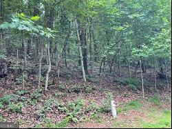 LOT #61 Mountainside Drive