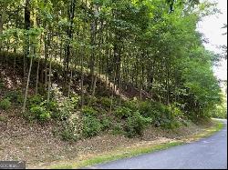 LOT #61 Mountainside Drive