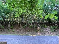 LOT #61 Mountainside Drive