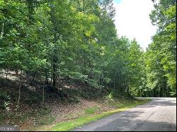 LOT #61 Mountainside Drive