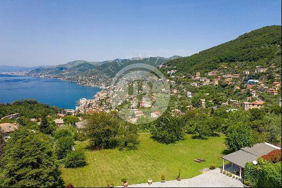 Camogli, , Italy