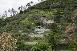 Levanto, Legnaro, 19015, Italy