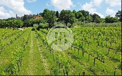 Montepulciano, 53045, Italy