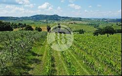 Montepulciano, 53045, Italy