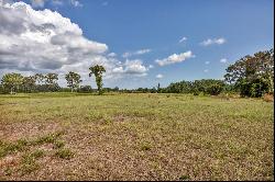 15884 Cutting Horse Trl, Myakka City, FL 34251