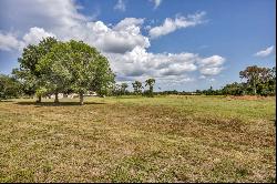 15884 Cutting Horse Trl, Myakka City, FL 34251