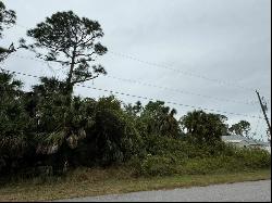 Lot 19 Edwin Ave, North Port, FL 34288