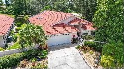 5808 Lakeside Woods Cir, Sarasota, FL 34243